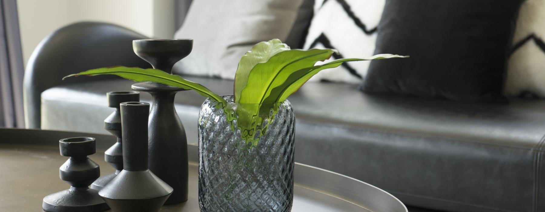 a plant in a vase on a table